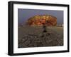 Boy Running Outside Bird's Nest, Beijing, China-null-Framed Photographic Print