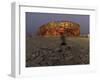 Boy Running Outside Bird's Nest, Beijing, China-null-Framed Photographic Print