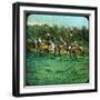 Boy Scouts, 20th Century-null-Framed Giclee Print