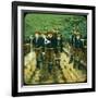 Boy Scouts, 20th Century-null-Framed Giclee Print