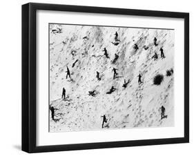 Boy Scouts Racing Down a Dune at the Indiana Dunes-Michael Rougier-Framed Photographic Print