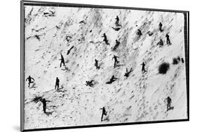 Boy Scouts Racing Down a Dune at the Indiana Dunes-Michael Rougier-Mounted Photographic Print