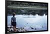 Boy Skipping Rocks-William P^ Gottlieb-Framed Photographic Print