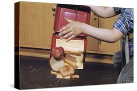 Boy Spilling Lunchbox Contents-William P. Gottlieb-Stretched Canvas