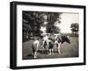 Boy Squirting Cow's Milk-null-Framed Photographic Print