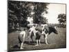 Boy Squirting Cow's Milk-null-Mounted Photographic Print