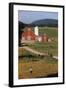 Boy Standing in Field Near Red Barn-William P. Gottlieb-Framed Photographic Print