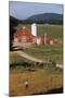 Boy Standing in Field Near Red Barn-William P. Gottlieb-Mounted Photographic Print