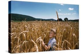 Boy Standing in Field of Wheat-William P. Gottlieb-Stretched Canvas