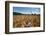 Boy Standing in Field of Wheat-William P. Gottlieb-Framed Photographic Print