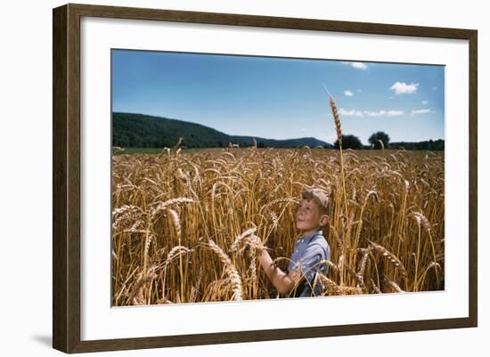 Boy Standing in Field of Wheat-William P. Gottlieb-Framed Photographic Print