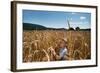 Boy Standing in Field of Wheat-William P. Gottlieb-Framed Photographic Print