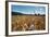 Boy Standing in Field of Wheat-William P. Gottlieb-Framed Photographic Print