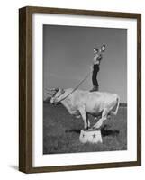 Boy Standing on Shorthorn Bull at White Horse Ranch-William C^ Shrout-Framed Premium Photographic Print