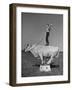 Boy Standing on Shorthorn Bull at White Horse Ranch-William C^ Shrout-Framed Photographic Print