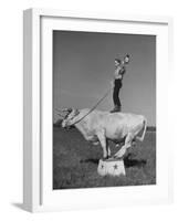 Boy Standing on Shorthorn Bull at White Horse Ranch-William C^ Shrout-Framed Photographic Print