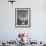 Boy Standing on Shorthorn Bull at White Horse Ranch-William C^ Shrout-Framed Photographic Print displayed on a wall