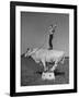 Boy Standing on Shorthorn Bull at White Horse Ranch-William C^ Shrout-Framed Photographic Print