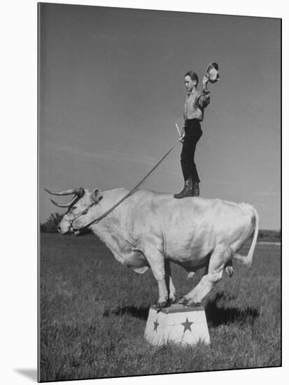 Boy Standing on Shorthorn Bull at White Horse Ranch-William C^ Shrout-Mounted Photographic Print