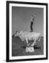 Boy Standing on Shorthorn Bull at White Horse Ranch-William C^ Shrout-Framed Photographic Print