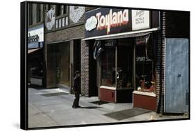 Boy Standing Outside Toyland-William P. Gottlieb-Framed Stretched Canvas