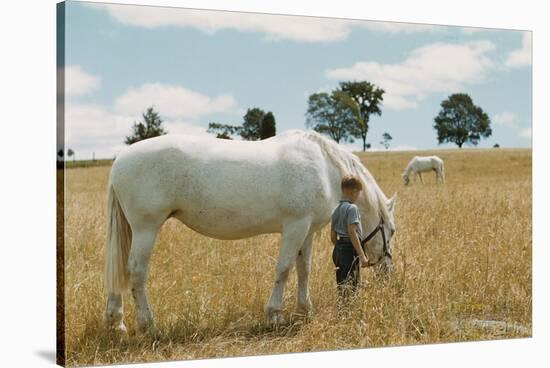 Boy Standing with Horse in a Field-William P. Gottlieb-Stretched Canvas