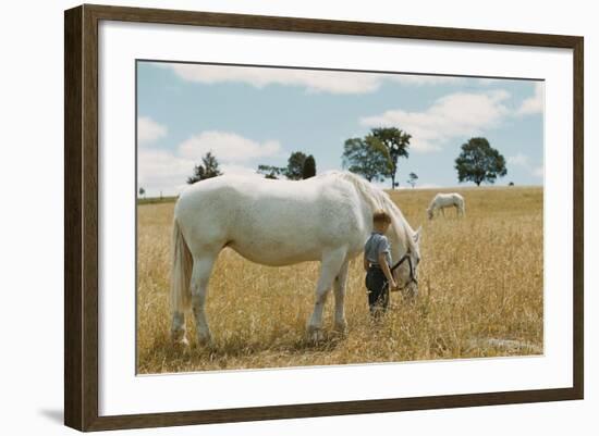 Boy Standing with Horse in a Field-William P. Gottlieb-Framed Photographic Print