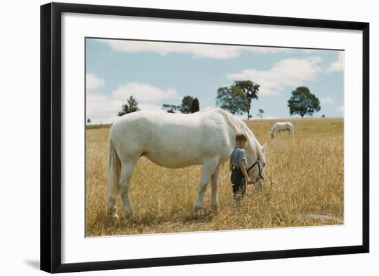 Boy Standing with Horse in a Field-William P. Gottlieb-Framed Photographic Print