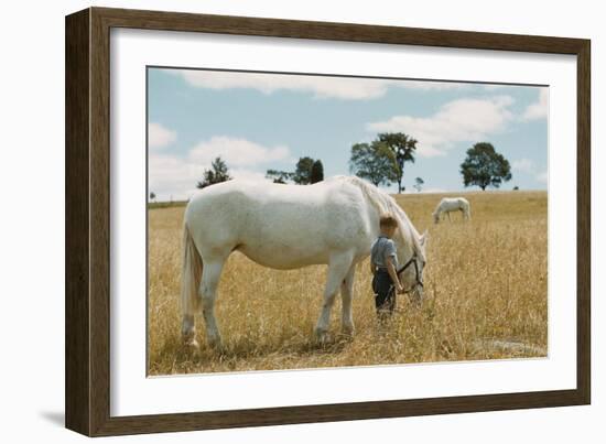 Boy Standing with Horse in a Field-William P. Gottlieb-Framed Photographic Print