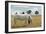 Boy Standing with Horse in a Field-William P. Gottlieb-Framed Photographic Print