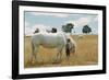 Boy Standing with Horse in a Field-William P. Gottlieb-Framed Photographic Print