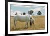 Boy Standing with Horse in a Field-William P. Gottlieb-Framed Photographic Print