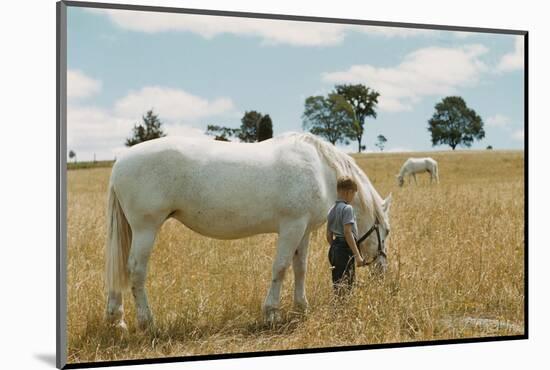 Boy Standing with Horse in a Field-William P. Gottlieb-Mounted Photographic Print