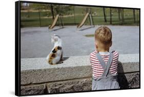 Boy Standing with Kitten in Schoolyard-William P. Gottlieb-Framed Stretched Canvas