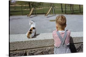 Boy Standing with Kitten in Schoolyard-William P. Gottlieb-Stretched Canvas