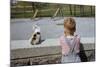 Boy Standing with Kitten in Schoolyard-William P. Gottlieb-Mounted Photographic Print