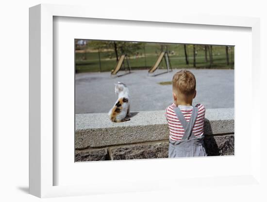 Boy Standing with Kitten in Schoolyard-William P. Gottlieb-Framed Photographic Print