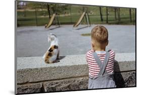 Boy Standing with Kitten in Schoolyard-William P. Gottlieb-Mounted Photographic Print