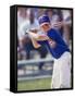 Boy Swinging a Baseball Bat on a Field-null-Framed Stretched Canvas