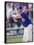 Boy Swinging a Baseball Bat on a Field-null-Framed Stretched Canvas