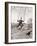 Boy Swinging-Philip Gendreau-Framed Photographic Print