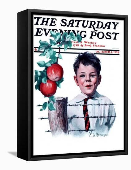 "Boy Tempted by Apples," Saturday Evening Post Cover, October 4, 1924-Clarence William Anderson-Framed Stretched Canvas