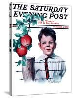 "Boy Tempted by Apples," Saturday Evening Post Cover, October 4, 1924-Clarence William Anderson-Stretched Canvas