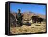 Boy Threshing with Oxen, Bamiyan Province, Afghanistan-Jane Sweeney-Framed Stretched Canvas