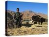 Boy Threshing with Oxen, Bamiyan Province, Afghanistan-Jane Sweeney-Stretched Canvas