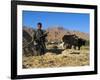 Boy Threshing with Oxen, Bamiyan Province, Afghanistan-Jane Sweeney-Framed Photographic Print