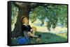 Boy under an Apple Tree-Jesse Willcox Smith-Framed Stretched Canvas