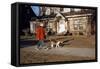 Boy Walking Dog on Sidewalk-William P. Gottlieb-Framed Stretched Canvas