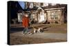 Boy Walking Dog on Sidewalk-William P. Gottlieb-Stretched Canvas