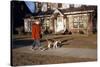 Boy Walking Dog on Sidewalk-William P. Gottlieb-Stretched Canvas